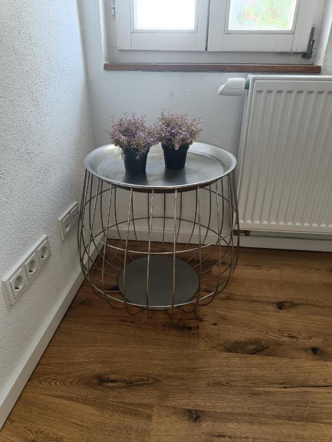 Apartments & Moeblierte Zimmer In Kahl Am Main, Kontaktloser Self Check-In, W-Lan, Schreibtisch, Duschbad, Kuechenzeile, Pkw-Plaetze المظهر الخارجي الصورة
